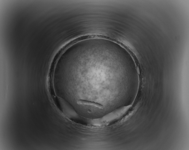 X0000088370928200705291324