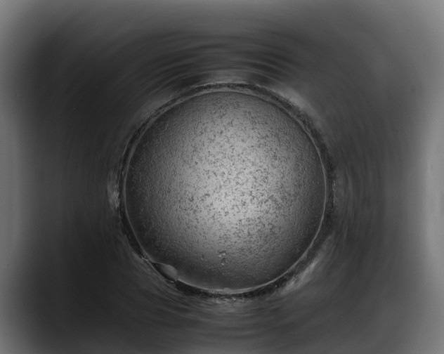 X0000088370929200705291324