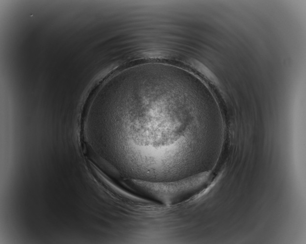 X0000088370930200705291324