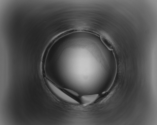 X0000088370932200705291324