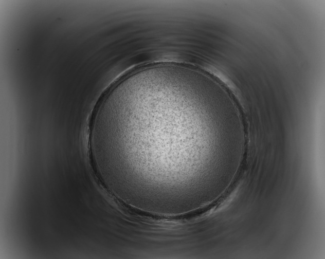 X0000088370933200705291324