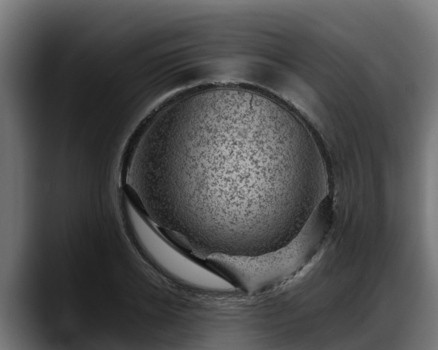 X0000088370934200705291324