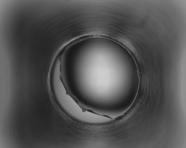 X0000088370936200705291324