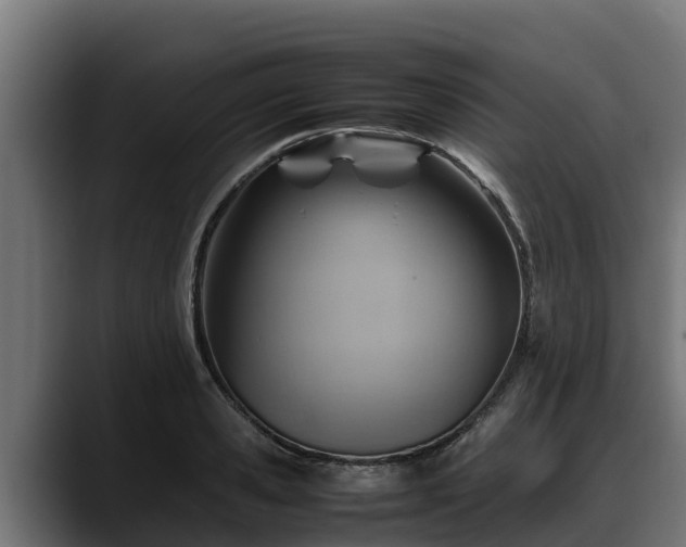 X0000088370941200705291325