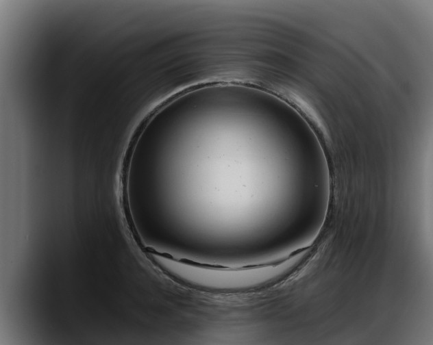 X0000088370944200705291325