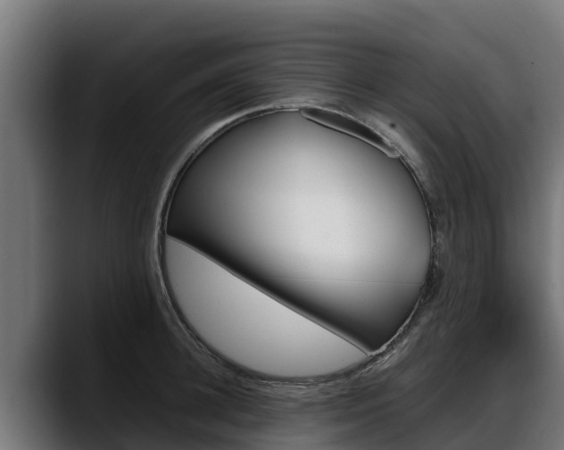 X0000088370948200705291325