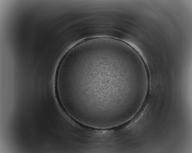 X0000088370949200705291325