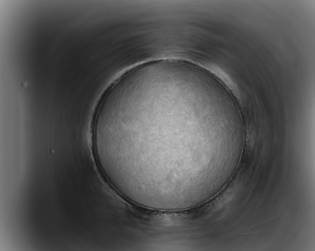 X0000088370950200705291325