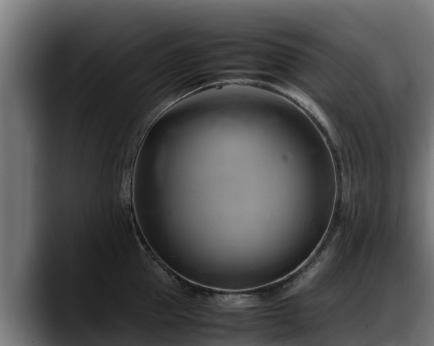 X0000088370953200705291325