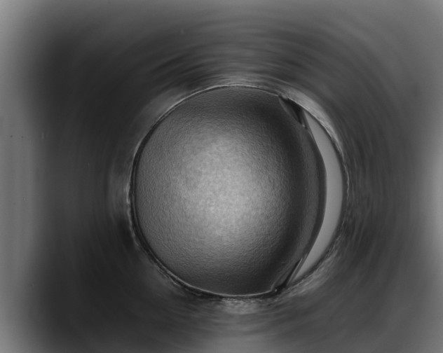 X0000088370954200705291325