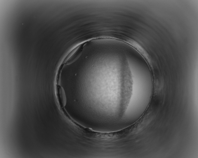 X0000088370955200705291325