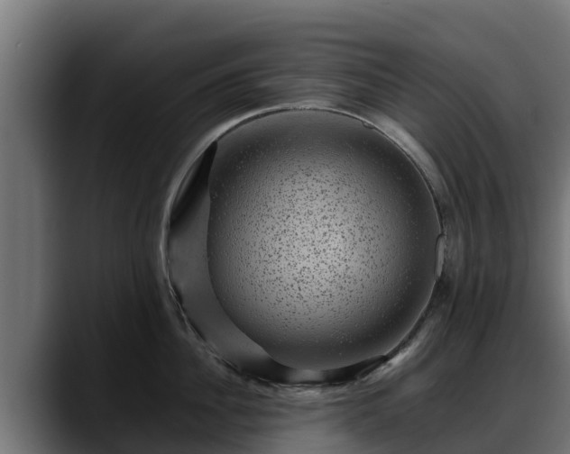 X0000088370956200705291325