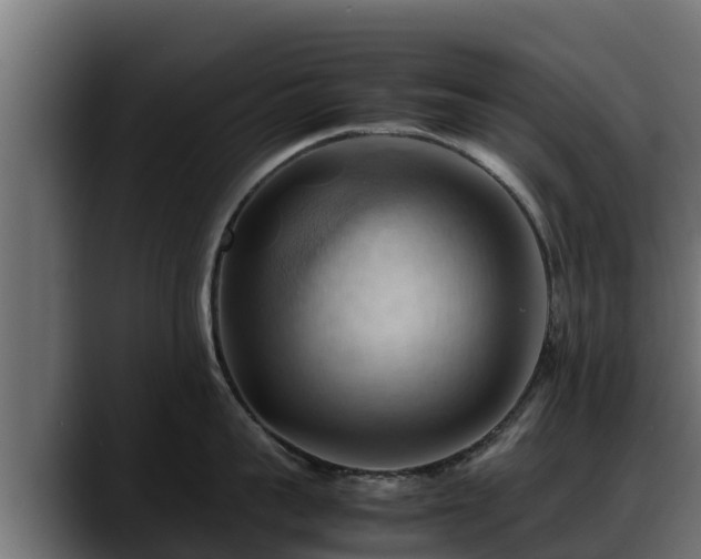 X0000088370959200705291325
