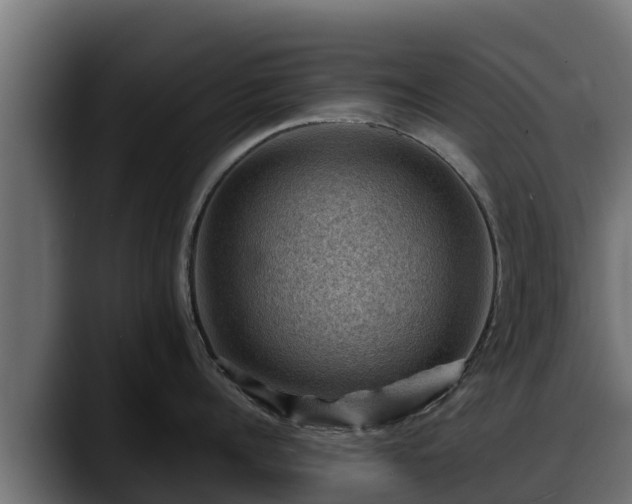 X0000088370960200705291325