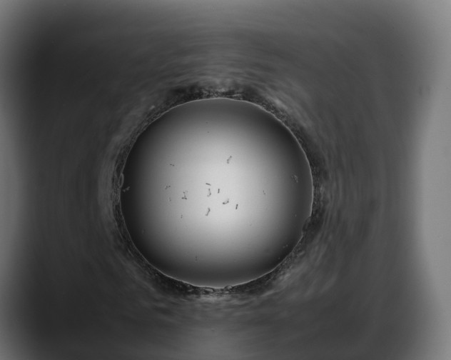X0000088370961200705291324