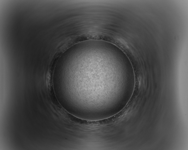 X0000088370964200705291324