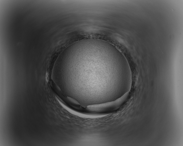 X0000088370965200705291324