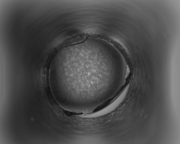 X0000088370968200705291324