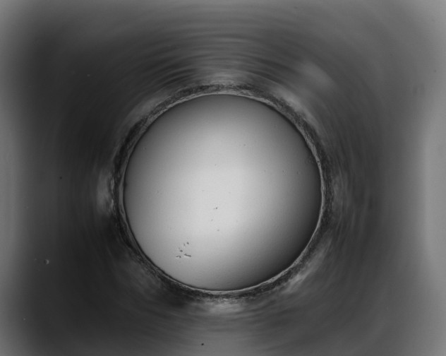 X0000088370970200705291324
