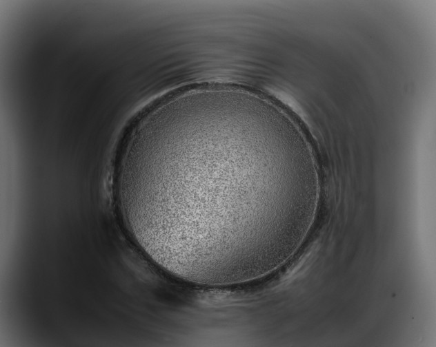 X0000088370971200705291324