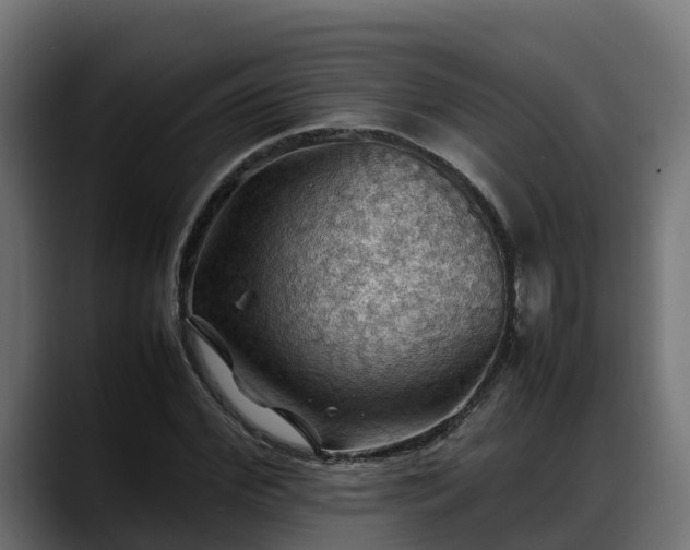 X0000088370972200705291324