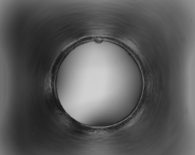 X0000088370974200705291324