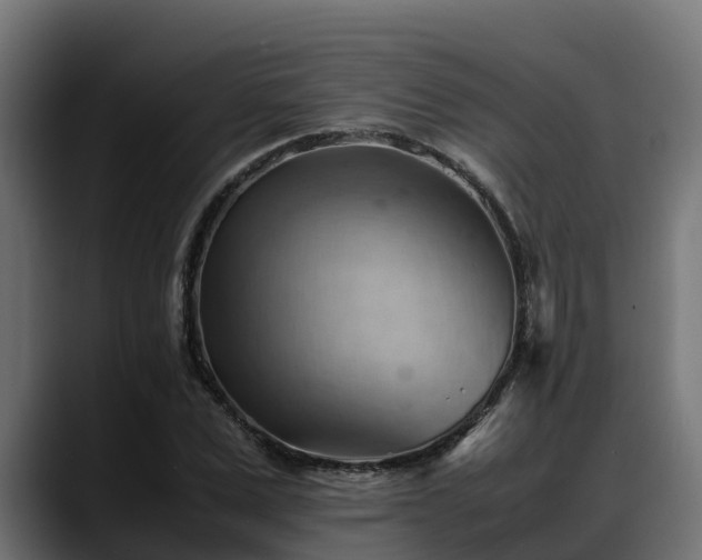X0000088370975200705291324