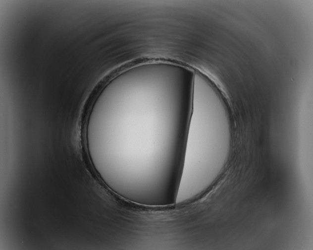 X0000088370976200705291324