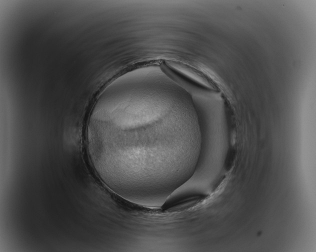 X0000088370977200705291324