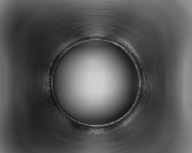 X0000088370978200705291324
