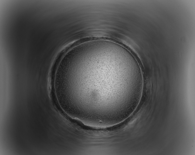X0000088370979200705291324