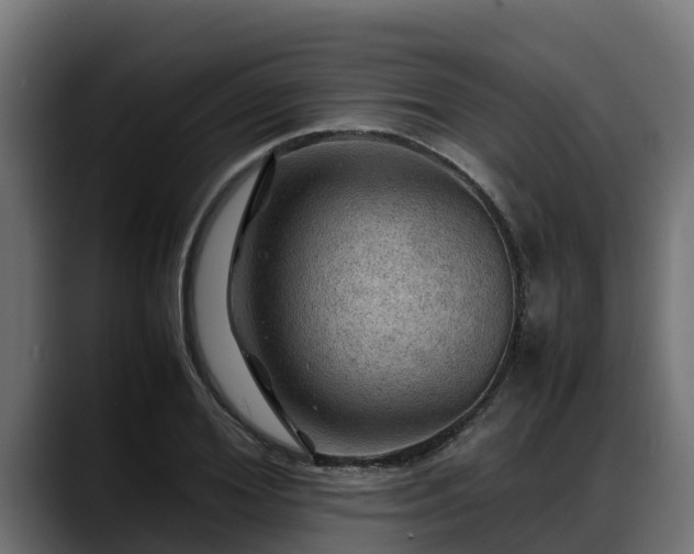 X0000088370980200705291324