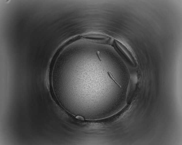 X0000088370984200705291324