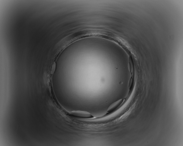 X0000088370985200705291324