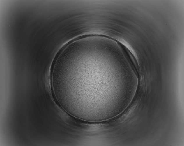 X0000088370988200705291324