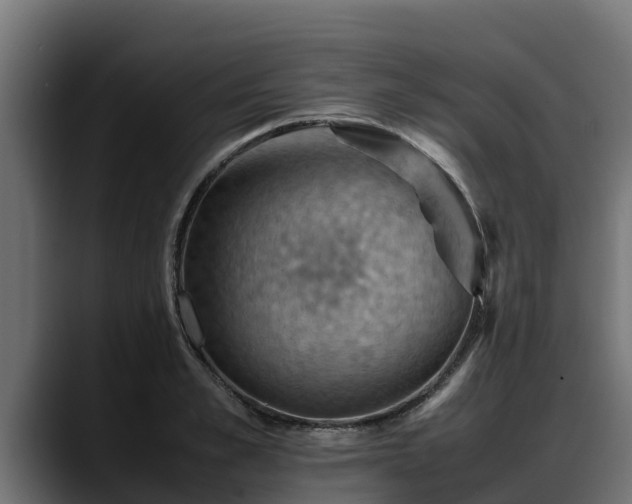 X0000088370989200705291324