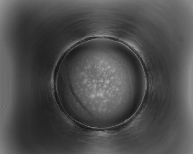 X0000088370990200705291324