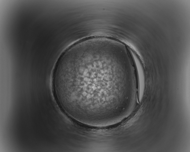 X0000088370991200705291324