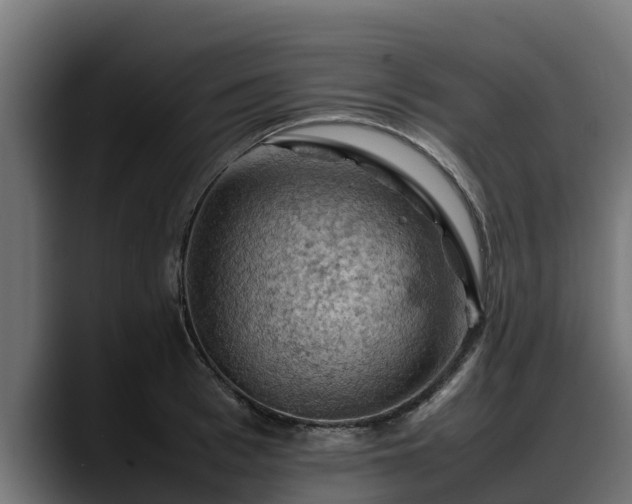 X0000088370993200705291324