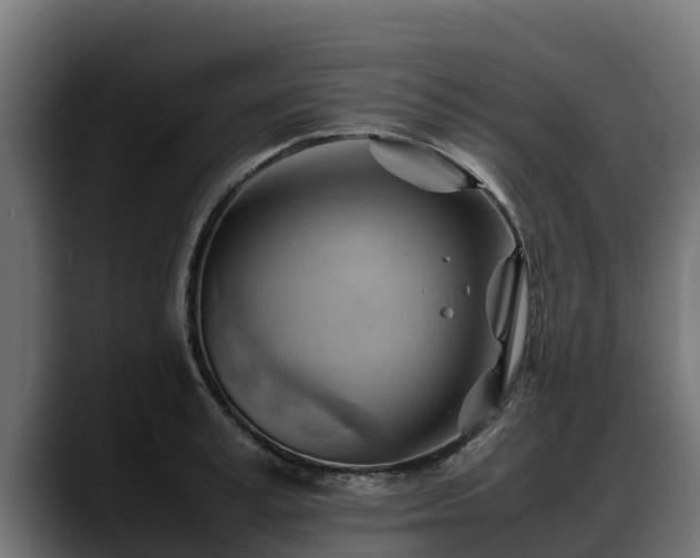 X0000088370995200705291324