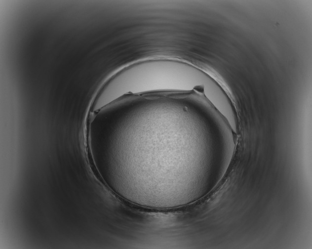 X0000088370996200705291324