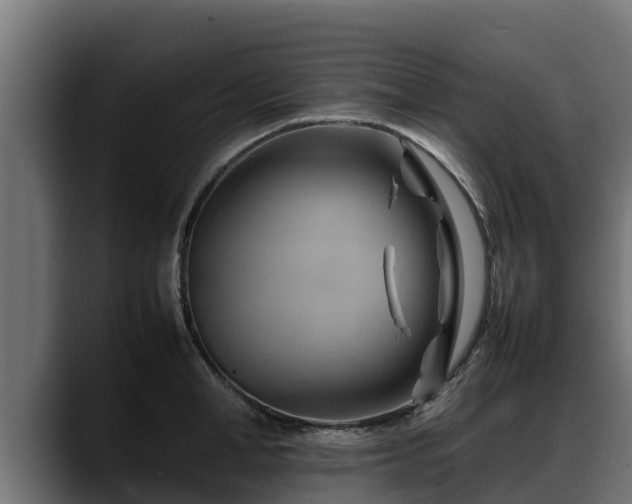 X0000088370998200705291324