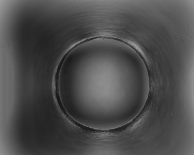 X0000088370999200705291324