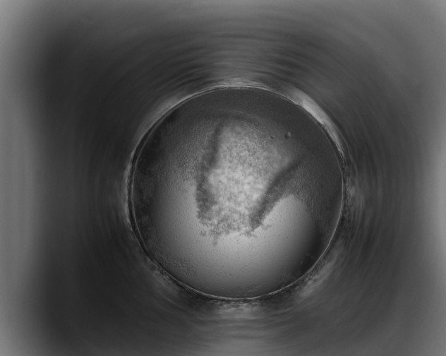 X0000088371002200705291324