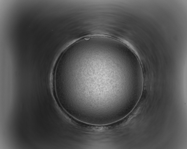 X0000088371003200705291324