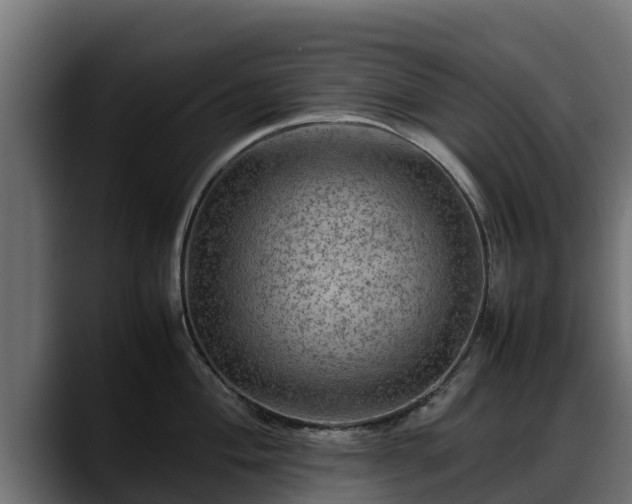 X0000088371004200705291324