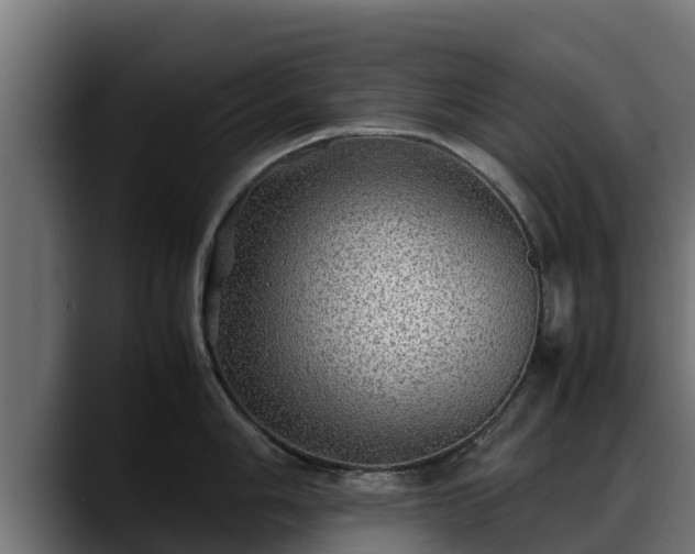 X0000088371006200705291324