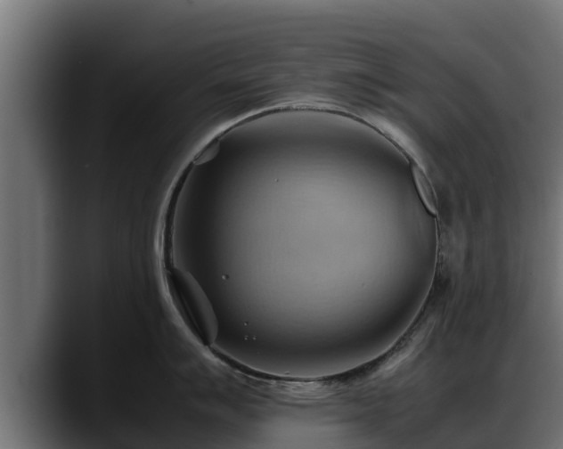 X0000088371007200705291324