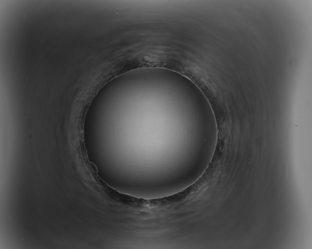 X0000088371009200705291323