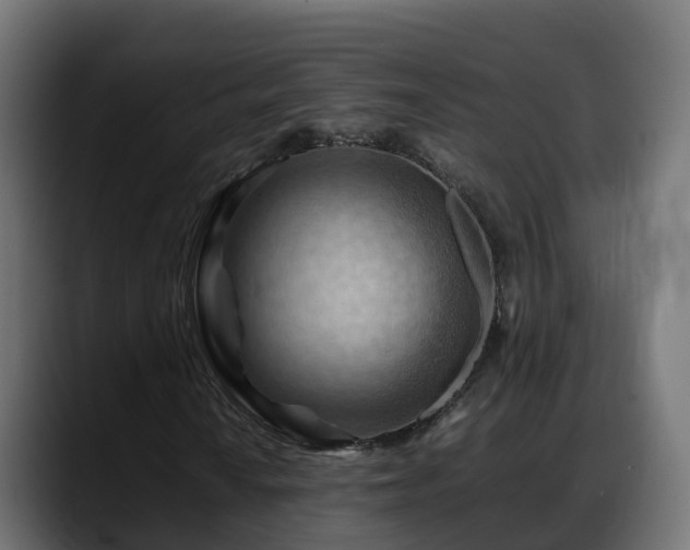 X0000088371010200705291323